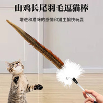 Long pole feather self-hyper teething kitten cat toys cat supplies cat toys pet supplies funny cat stick