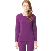 Shurong Modal Dark Purple (самка)