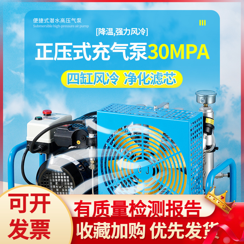 Positive Pressure Air Respirator High-Pressure Air Pump 30Mpa Diving Bottle Inflator 20Mpa Fire-Fighting Air Pump