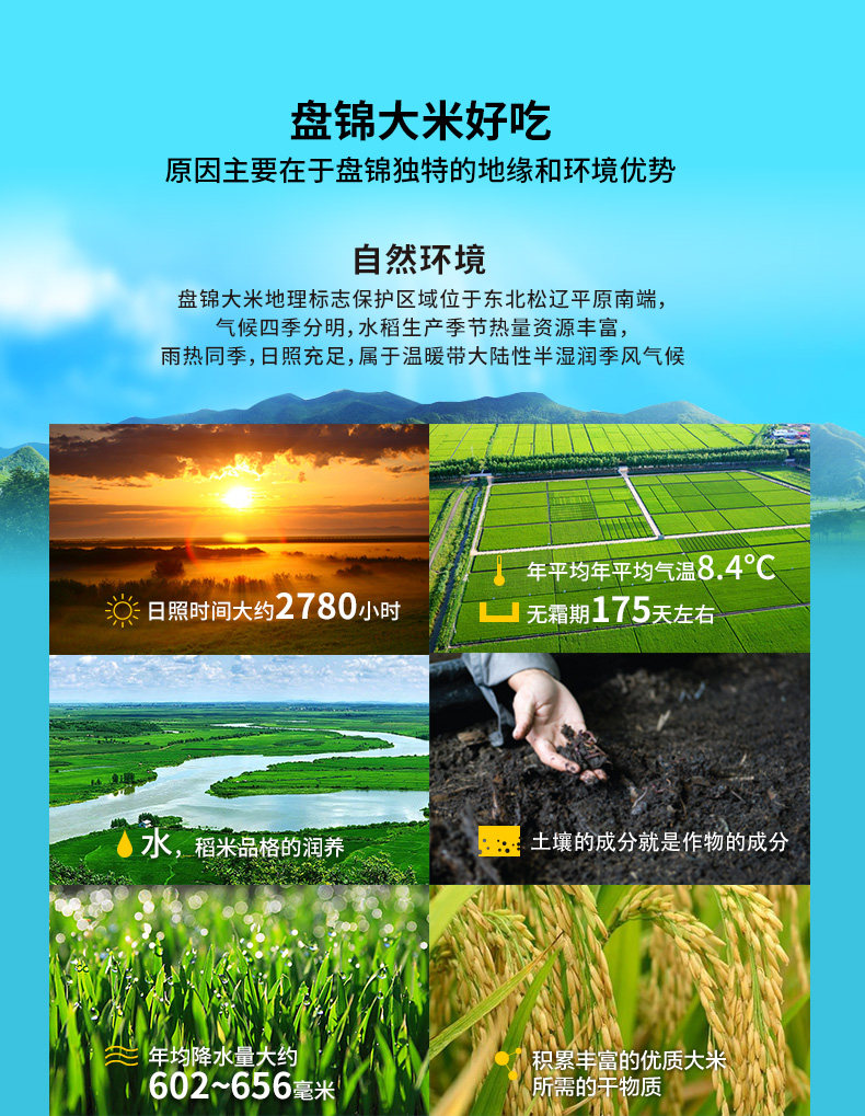 東北盤錦蟹田大米