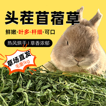 Lapin Rabbit Nest Séchage Clover Grass Hay Hay Rabbit Grain Dragon Cat Feed Guinée Pig 1kg Holland Pig Pet Rabbit