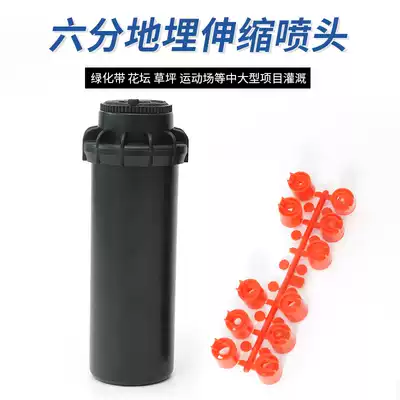 6 points DN20 rainproof Bird automatic lifting buried rotating bridge special nozzle Court lawn green sprinkler irrigation
