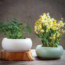  Special clearance non-porous ceramic bowl lotus basin goldfish large simple home office narcissus copper money grass flower pot white