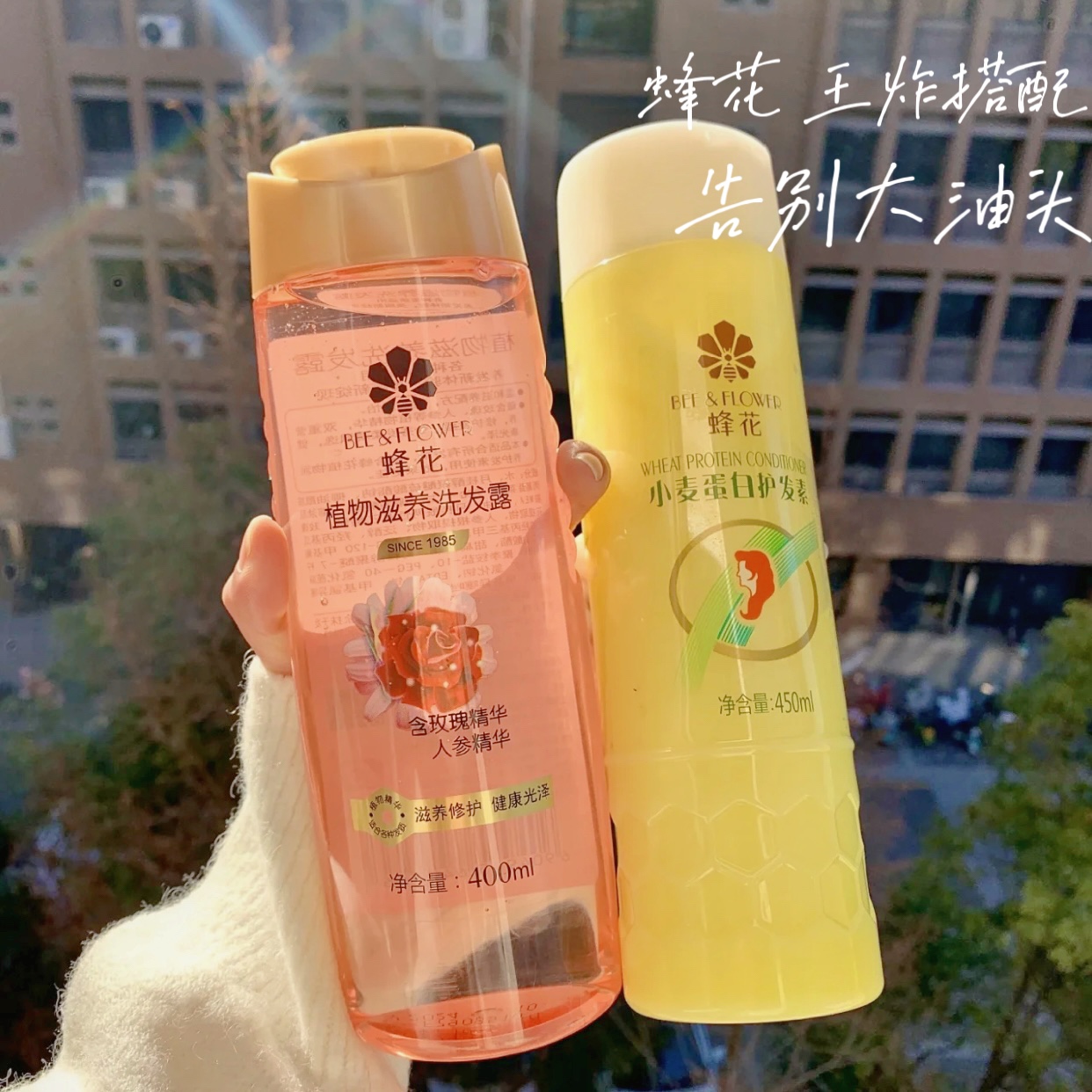 Bee Rose Shampoo Deutrient Ginger Mint Beer Flower Control Oil Dry Silicone Oil Debrush Soap Corner