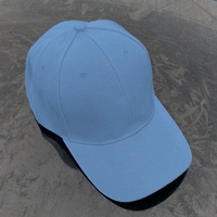 На синий утиная кепка языка