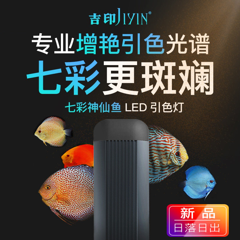 Jiyin colorful angel fish lamp special led fish tank lamp color waterproof pigeon Tianzi blue aquarium diving light