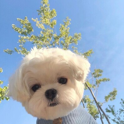 春雨相思