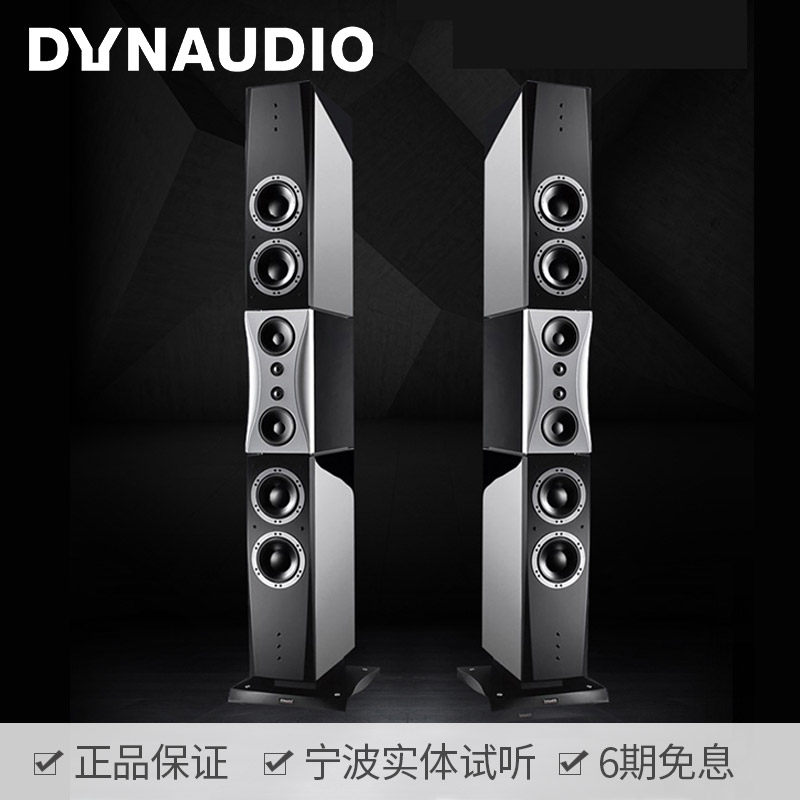 Dynaudio Danena Evidence Master Big Evidence HiFi High Fidelity Landing Fever Speaker