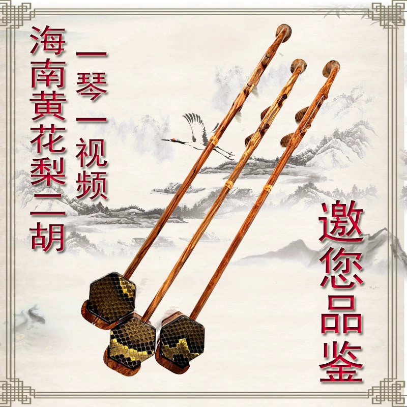 Mingfei Huanghuali Erhu Handmade Erhu Kéo dây Bộ sưu tập nhạc cụ Bộ sưu tập chơi chuyên nghiệp Erhu - Nhạc cụ dân tộc