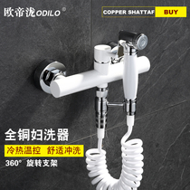 All copper women washer hot and cold water wash butt flusher cleaner mop pool faucet toilet spray gun set