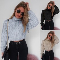 2018 Winter Women turtleneck sweater female knitwear Shirt