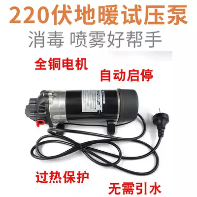 220V high pressure cleaning floor heating pressure test pump cola machine dp170M accessories 12V DC diaphragm water pump