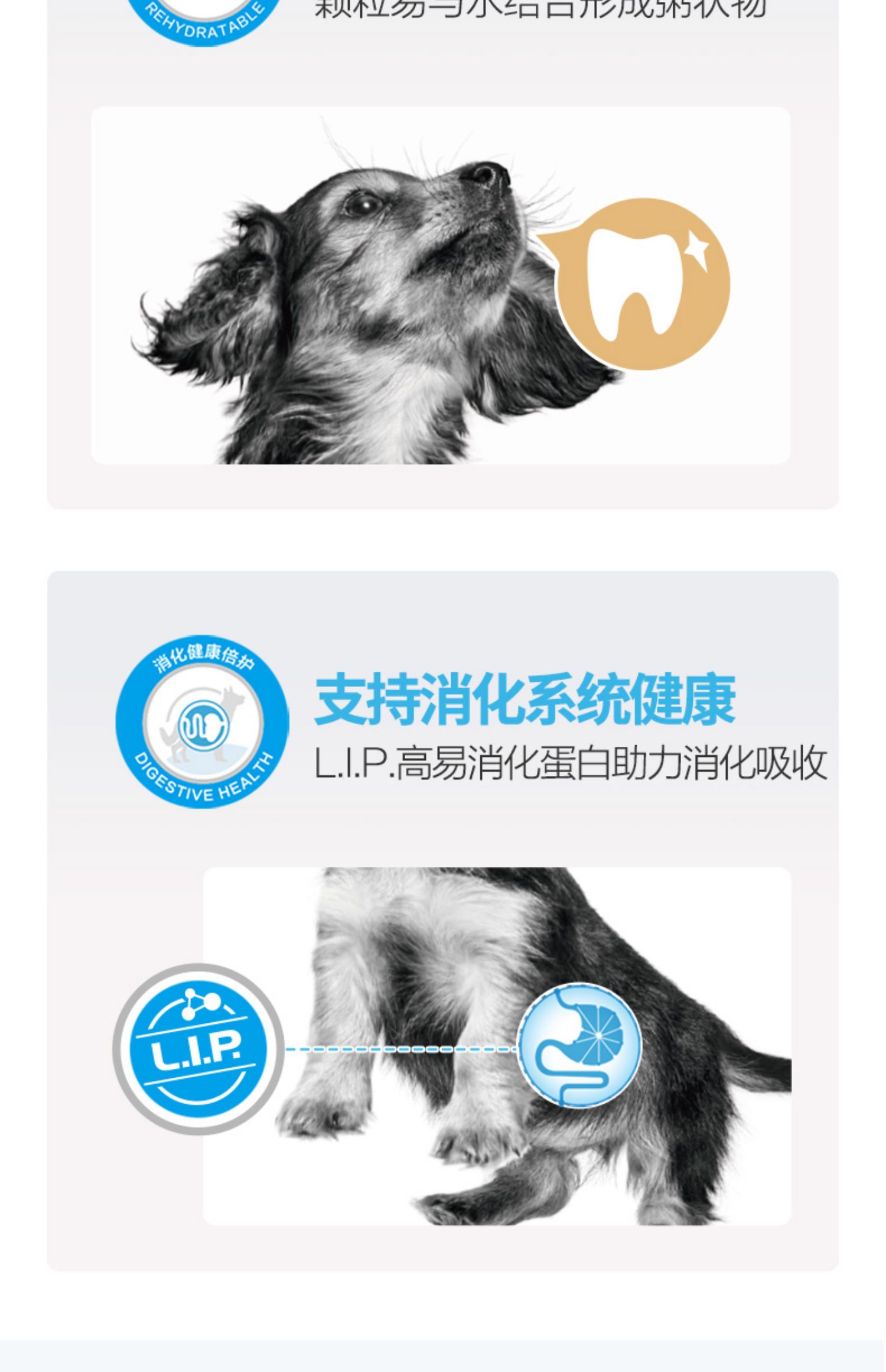 Royal Small Dogs Ly dị Bánh sữa 1kg Puppy Pupgie Dog Food General Teddy Pomeranian Bear VIP General - Chó Staples thức ăn phụ kiện cho chó