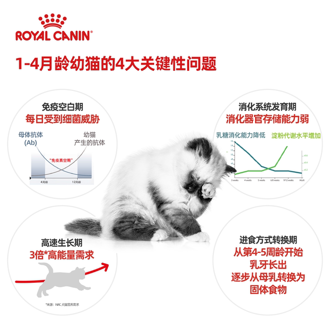 Royal Cat Food Cat Milk Cake BK34/K36 Kitten Food 1-4-12 Months Special British Shorthair Nutrition 400g*2 Bags