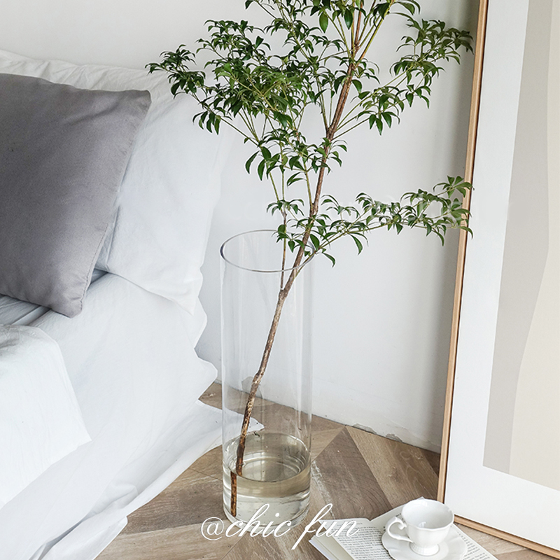 Floor straight drum horse drunk wood hanging bell vase large glass transparent Nordic ins water peels with flower arrangement flowers