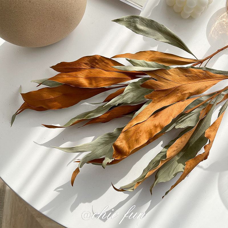 chicfun import double-sided leaf natural dry flower net red home folk clothing shop real flower decoration inwind living room-Taobao