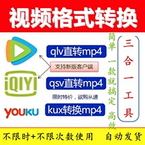 qlv qsv kux format conversion mp4 software tool lossless conversion Transcoder video format conversion mp4