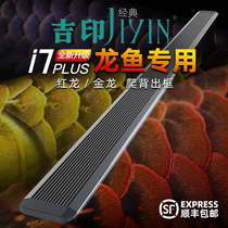 Jiyin arowana special hair color lamp professional red dragon and golden arowana LED color-increasing waterproof and brightening aquarium arowana lamp