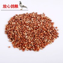 Red sorghum rice with skin 10 catties of farmers bulk grains pigeon grain feed bird grain pigeon food pigeon supplies Bird Grain