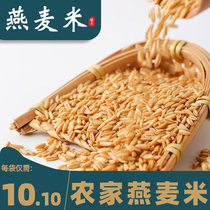 2021 New Rice Oatmeal 500g Northeast Coarse Grains Germ Rice Cotta Rice Non-oatmeal