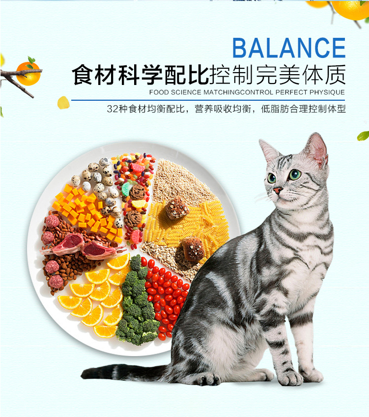 Tân Cương gói sức mạnh cho mèo ăn thức ăn biển cá biển vào thức ăn cho mèo 10Kg bóng chống lông cho mèo ngoài việc làm đẹp tóc sáng màu - Cat Staples thức ăn ướt cho mèo