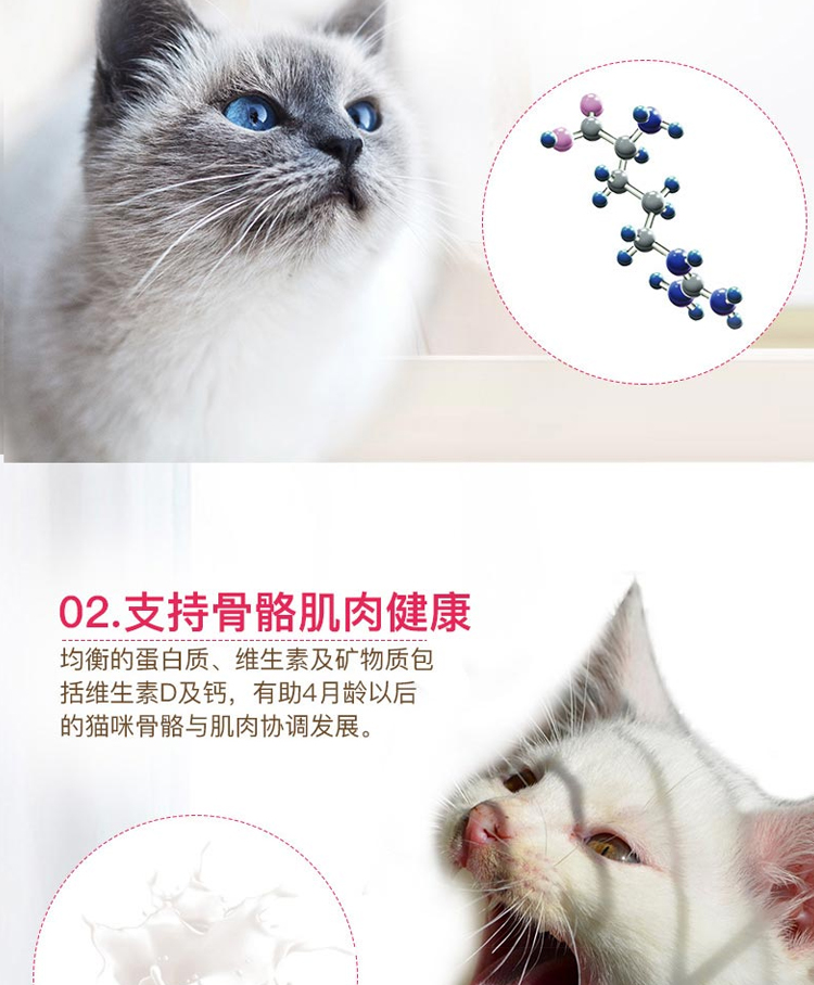 Thức ăn cho mèo hoàng gia k36 thức ăn chủ yếu cho mèo mèo thức ăn cho mèo và mèo mẹ mang thức ăn cho mèo 2kg thức ăn chủ yếu của động vật Tân Cương - Cat Staples hạt catsrang cho mèo con