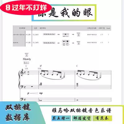 (Buy one get one free) You are my eye mountain leaves double-row key sound soft sound source with fan play and accompaniment