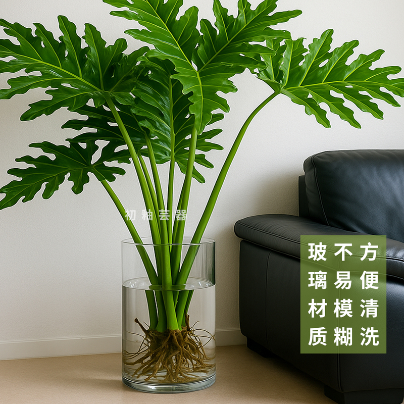 Large Diameter Floor-Standing Vase, Extra-Large Spring Fern Monstera Hydroponic Vessel, Glass Flower Pot, Special Container