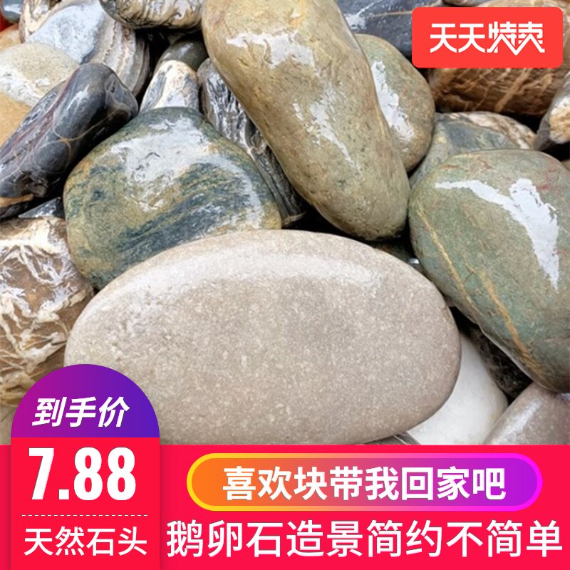 River eggs Rough stone Stream Large pressed vegetables Goose eggs Turtle basking stone Courtyard landscape landscaping Garden paving Fish tank