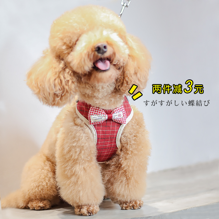 Dog Leash Teddy Bear Vest Harness Small Dog Walking Rope Dog Chain Cute Pet Supplies