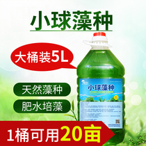 Algae species Chlorella Aquaculture fertilizer Hydroponic algae Aerobic diatom reservoir Shrimp crab fish pond Compound algae Chlorella species