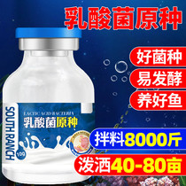 Lactic acid bacteria original species Fish pond Shrimp and crab pond water transfer water purification Intestinal problems Good bacteria Aquaculture special bacteria