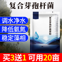 Bacillus raw powder Aquaculture Ammonia nitrogen salt hydrogen sulfide water transfer fertilizer water complex Bacillus subtilis subtilis