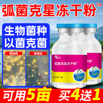 Vibrio clear frozen powder Vibrio cholerae in addition to harmful bacteria instead of phagocytic control Vibrio fish and shrimp crab pond aquaculture