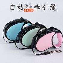 3 M 5 m dog leash cute adjustable dog chain explosion-proof automatic telescopic dog rope cat rope