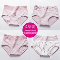 1653 Big Rose+Letter Rose+Little Rose+White Rose