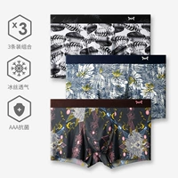 苍翼墨羽+狮子星座+落叶知秋