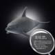 Động vật Hành tinh động vật cá heo mô hình động vật biển mô phỏng đồ chơi trẻ em động vật hoang dã - Đồ chơi gia đình
