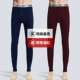 Nam Cực của nam giới quần dài quần lót của nam giới mỏng bó sát xà cạp cotton tinh khiết mùa thu và mùa đông quần ấm dòng cotton - Quần nóng lên