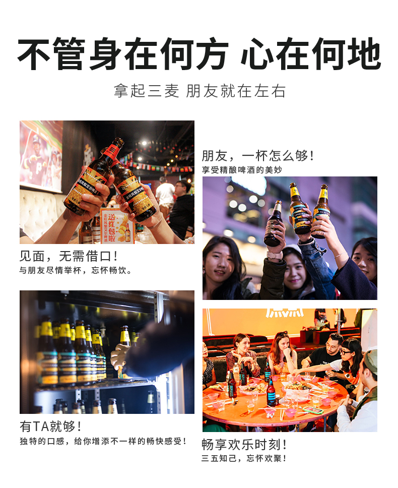 SUNMAI 精酿啤酒 500ml*12瓶 图13