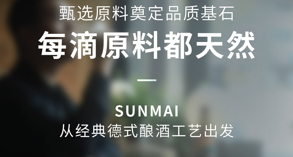 SUNMAI 精酿啤酒 500ml*12瓶 图3
