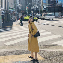  Autumn 2021 new female fairy thin chic high-end design casual early autumn long-sleeved dress