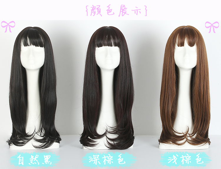 Perruque OTHER   Long cheveux raides - Ref 2610206 Image 25