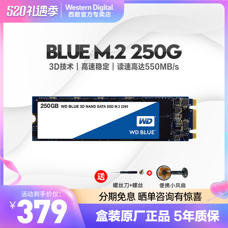 WD Western Digital WDS250G2B0B 250GB Solid hard disc m 2 2280Western Blue disc SSD 250G