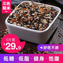  Three-color brown rice new rice 5 kg red rice black rice grains Brown rice Fitness five-grain grains rice whole grain germ Xuan rice