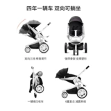 Голландский Quinny Moodd Двухэтапный высокий высокий уровень