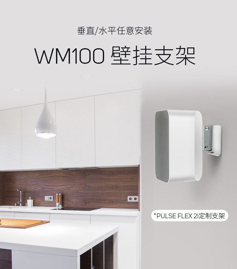 WM100 Стент детали_01.jpg