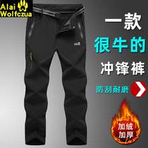 Camel Official Allai Wolf Claw Jacket Pants for Men and Women with Velvet and Thickened Winter Warm Fleece Windproof and Coldproof Skiing Pants