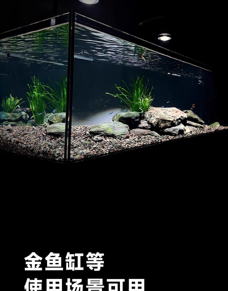 马印神灯全光谱LED金鱼增艳灯专用爆藻灯增色水草灯兰寿鱼缸筒灯 detail 26
