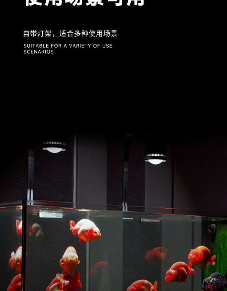 马印神灯全光谱LED金鱼增艳灯专用爆藻灯增色水草灯兰寿鱼缸筒灯 detail 27